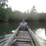Indonésie - petit tours dans la mangrove