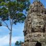 Cambodge - Ta Prohm - Tomb Raider Temple