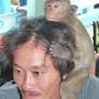 Thaïlande - Un singe comme compagnon