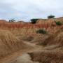 Desierto de la Tatacoa, QUE...