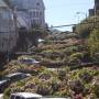 USA - Lombard street