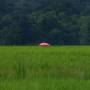 Laos - sous la pluie