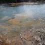 Rotorua -  hot springs - Giant...