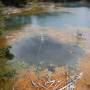 Rotorua -  hot springs - Giant...