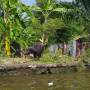 Thaïlande - Tour en bateau