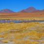 Bolivie - 