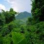 Laos - Cascades de Kouang Si