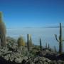 Trip San Pedro - Uyuni