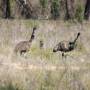 J+78 - The Grampians National...