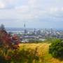 Nouvelle-Zélande - Mount Eden