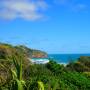 Nouvelle-Zélande - Muriwai Bay