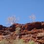 Karijini National Park