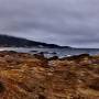 USA - Point lobos