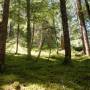 Canada - Flower ridge trail