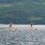 Canada - Paddle yoga