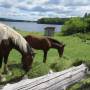 Canada - kings landing,fredericton,nouveau-brunswick,canada