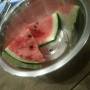 Japon - Water melon