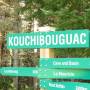 Parc national kouchibouguac,...