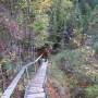 Canada - parc national de la baie de fundy,nouveau-brunswick,canada