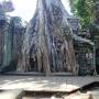 Les temples d'Angkor