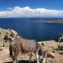 Bolivie - Au Bord du Lac Titicaca - Isla del Sol