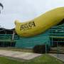 Australie - The Big Banana