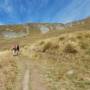 Nouvelle-Zélande - Roys Peak Track