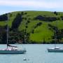 Nouvelle-Zélande - Akaroa