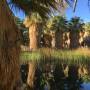 USA - palms springs, californie,usa