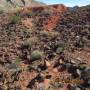 USA - valley of fire , las vegas, nevada,