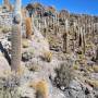 Bolivie - Uyuni