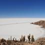 Bolivie - Uyuni