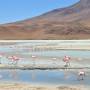 Bolivie - Sud Lipiez