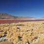 Bolivie - Sud Lipiez