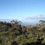 Australie - Rando dans les Flinder Ranges