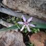 Australie - Rando dans les Flinder Ranges