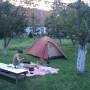 Pologne - Campement dans un jardin privé !