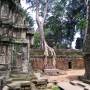 Cambodge - TA PROHM