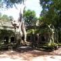 Cambodge - TA PROHM