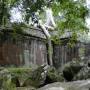 Cambodge - Ta Prohm