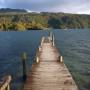 Nouvelle-Zélande - Lac dans la region de Rotorua