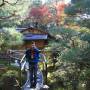 Japon - Jardin du temple Chionin 2