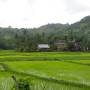 Le sud de Lombok : kuta et ses...