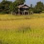 Laos - Maison de paysans