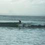 Australie - Le 1er sufer vu! Alors moi je croyais qu ils savaient tous surfer. En fait, qd t en as 5 ds l eau, t en as 1 qui sait surfer et les autres n arretent pas de se prendre des vagues plein la gueule... Marrant!