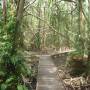 Australie - Botanic garden