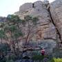 Australie - Une île bien nommée