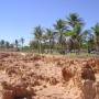 Australie - Cemetary Beach, le 22/04/2011.