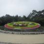 Taiwan - Yangminshan National Park (Clock Flower)