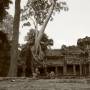 Cambodge - 